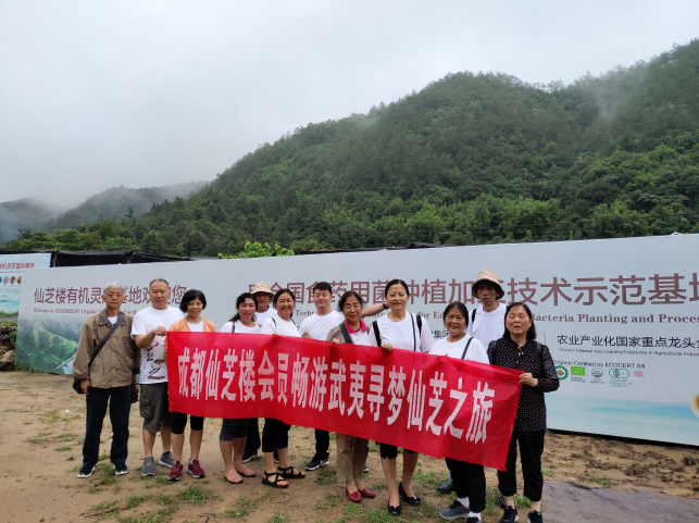 QQ截图20190707174220.png