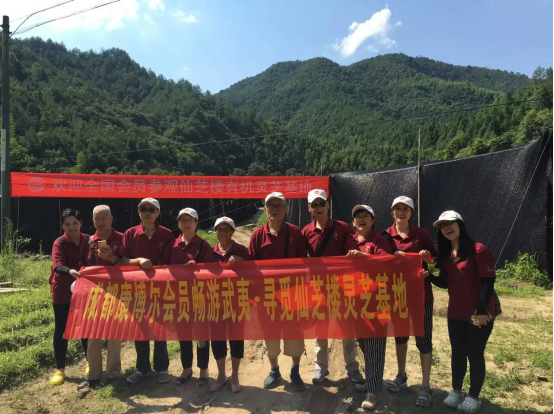文章附图